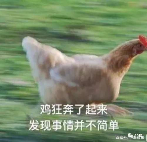 地鐵安檢不允許帶活雞，大媽接下來的行為，把地鐵的小姐姐嚇壞了